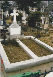 bordura-mozaicata-pe-doua-locuri-706x1024